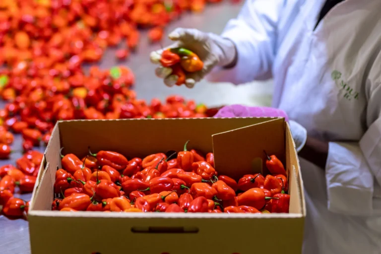 souk-farms-quality-scaled